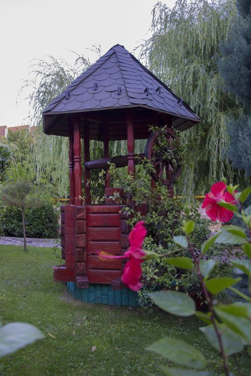 Hotel Carpati Бая-Маре Екстер'єр фото