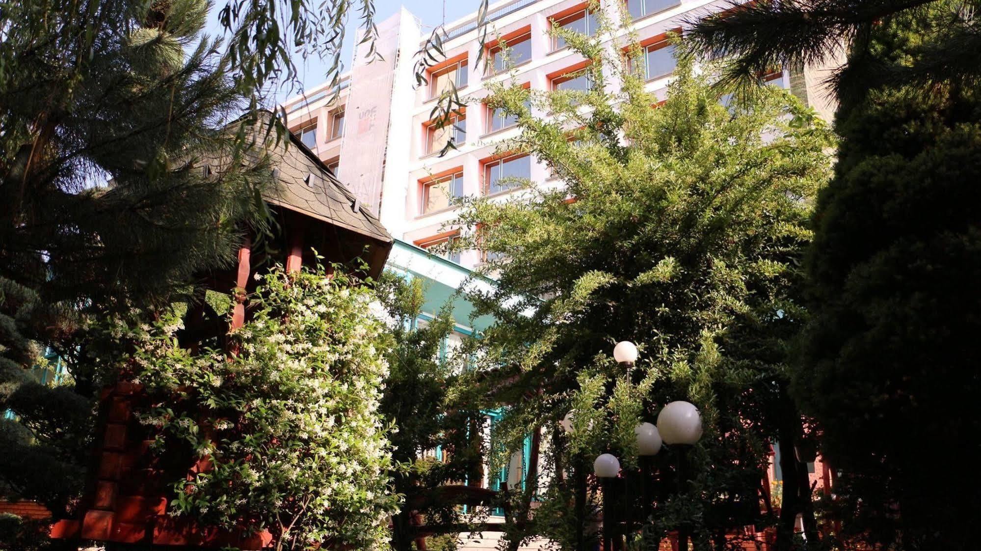 Hotel Carpati Бая-Маре Екстер'єр фото